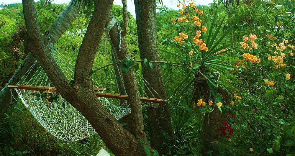 St. John Inn Cruz Bay 外观 照片